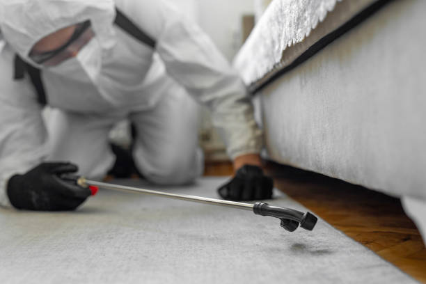 Professional Bed Bug Control technician working in Waelder, TX